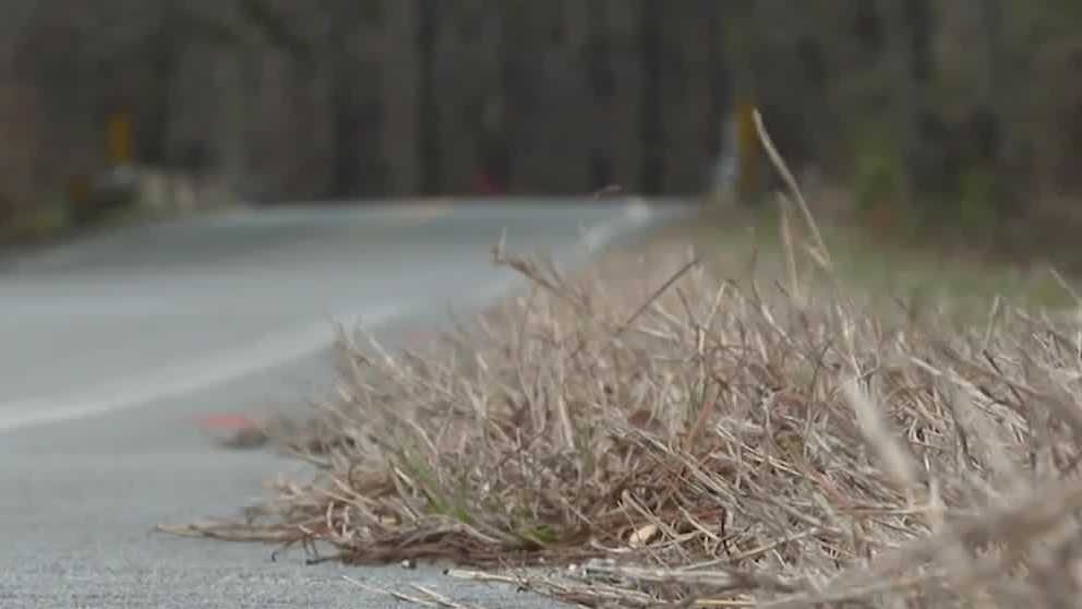 Advocates call for safety after pedestrian killed in Beaufort County - WJCL