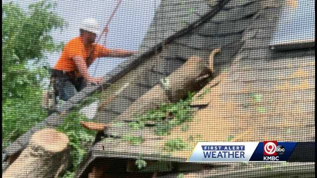 Lee's Summit, Missouri couple grateful no one hurt when section of tree topples down on home - Vimarsana News