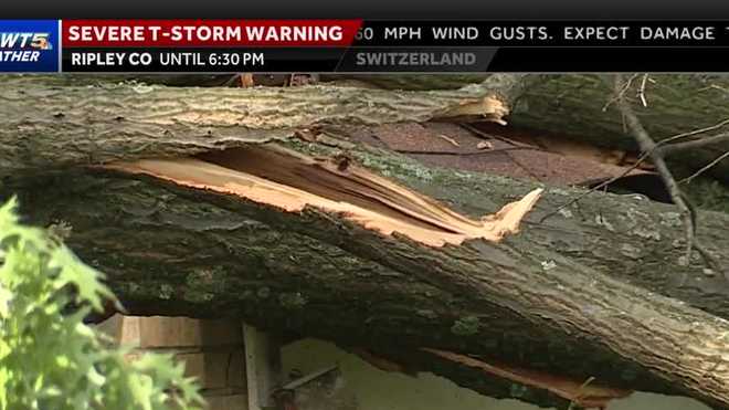 Avenida de Prairie Tree on House
