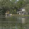 Citizens policyholders will soon need flood insurance, even outside flood zones