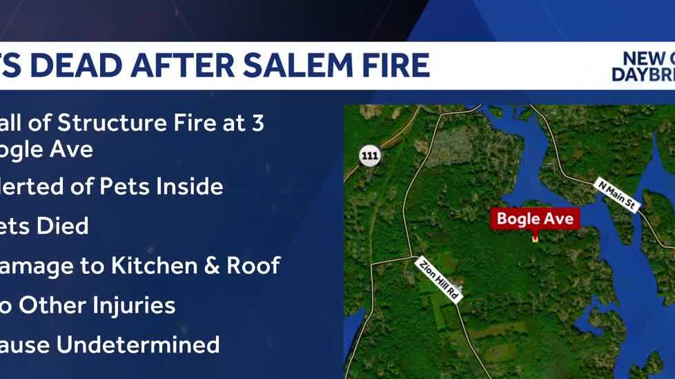 Pets dead after home fire in Salem, officials say