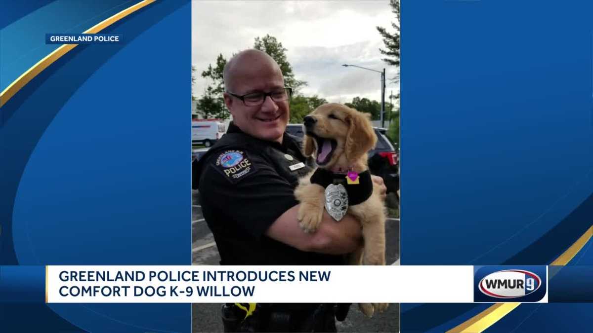 Two NH police departments introduce new K9s