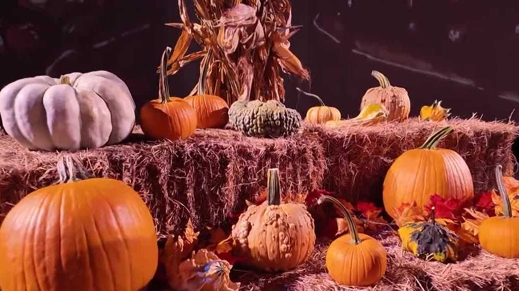 'Jack's Lantern Trail' to debut at Iroquois Park this fall; what to expect
