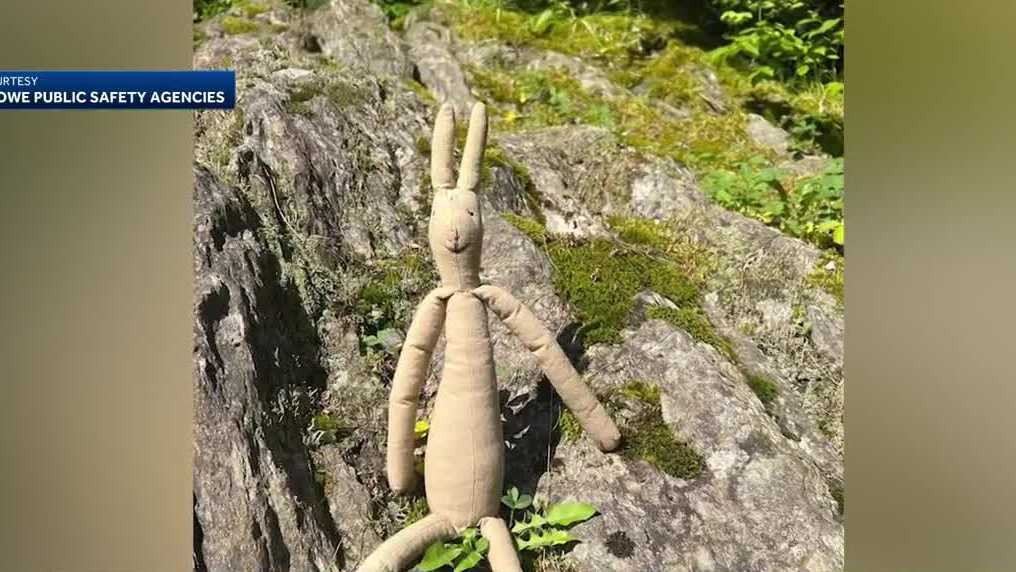 Elementary students learn important rescue skills using stuffed rabbit - Vimarsana News