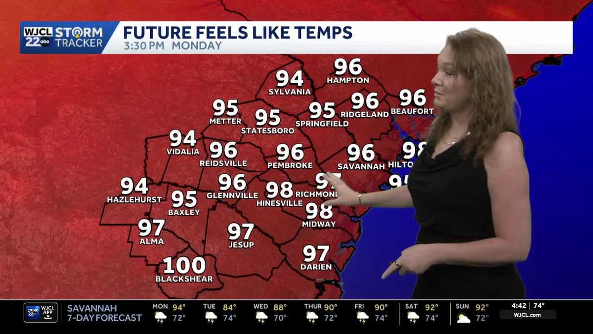Savannah: Another hot and humid afternoon