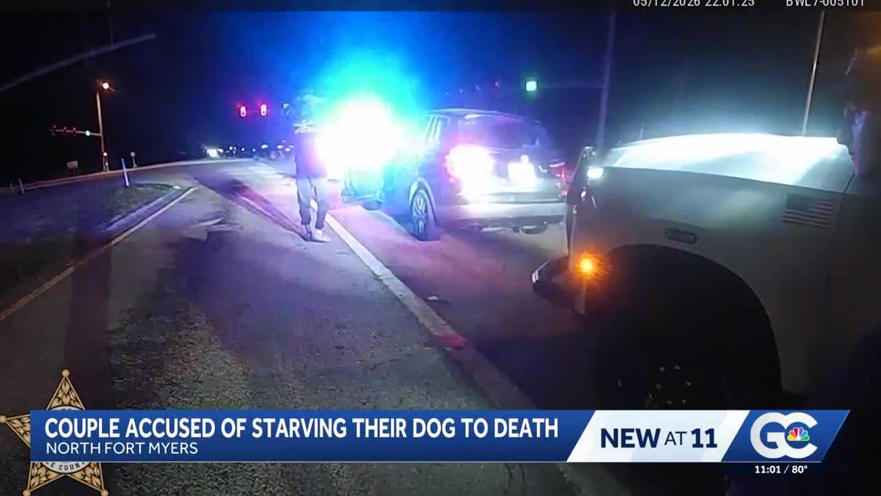Second person arrested in connection with puppy found dead in Lee ...