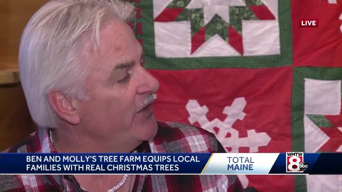 Local Christmas tree farm is ready for visitors