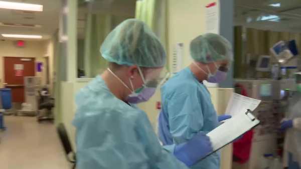 doctors
