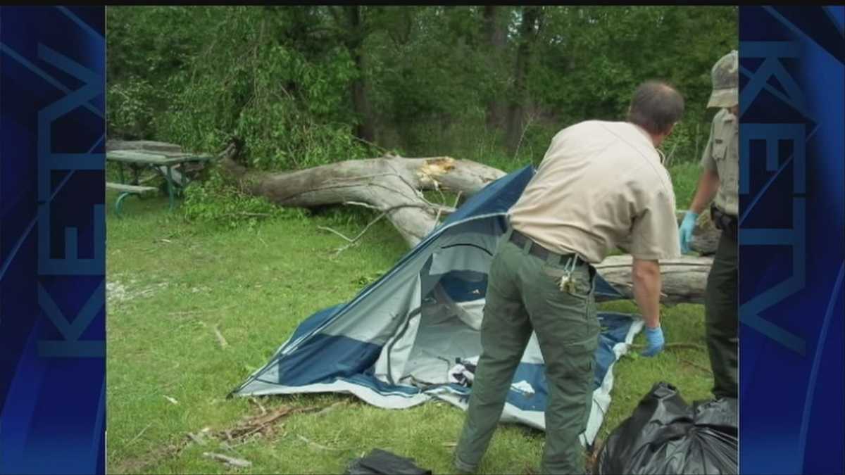 Camper survives being trapped under tree