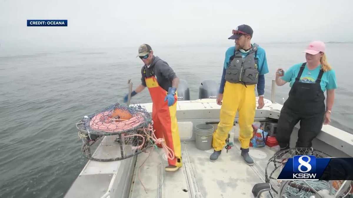 Pop-up fishing gear trial offers hope for Calif. crab fishermen