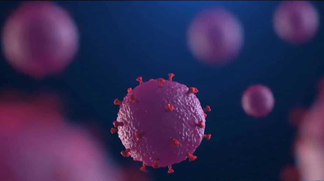 Arkansas Department of Health monitoring hantavirus outbreak