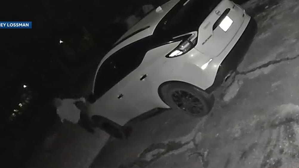 Police say alleged car thief captured on surveillance video
