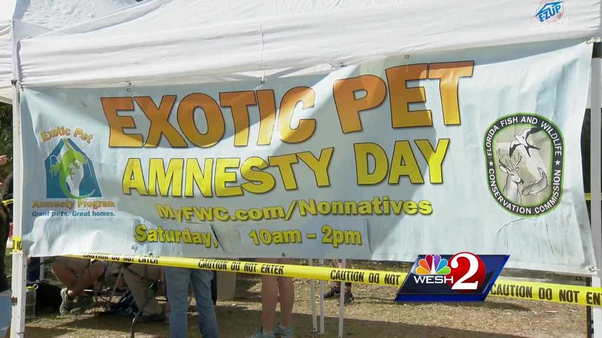 Saying goodbye to exotic pets in Central Florida on amnesty day