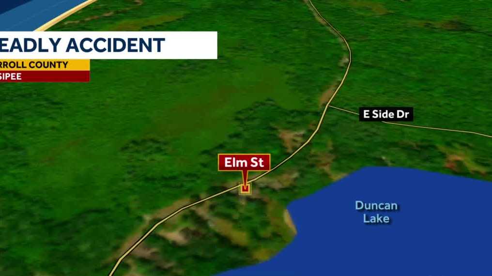 Woman killed by falling tree at New Hampshire vacation home