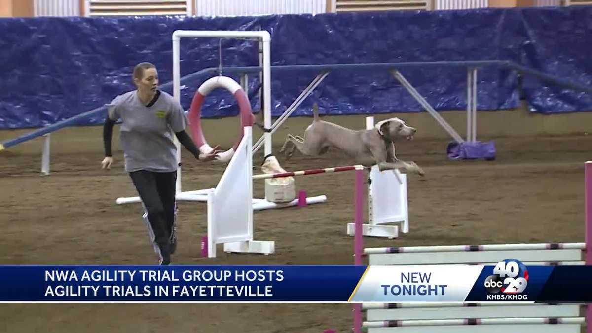 Dog agility competition held in Fayetteville