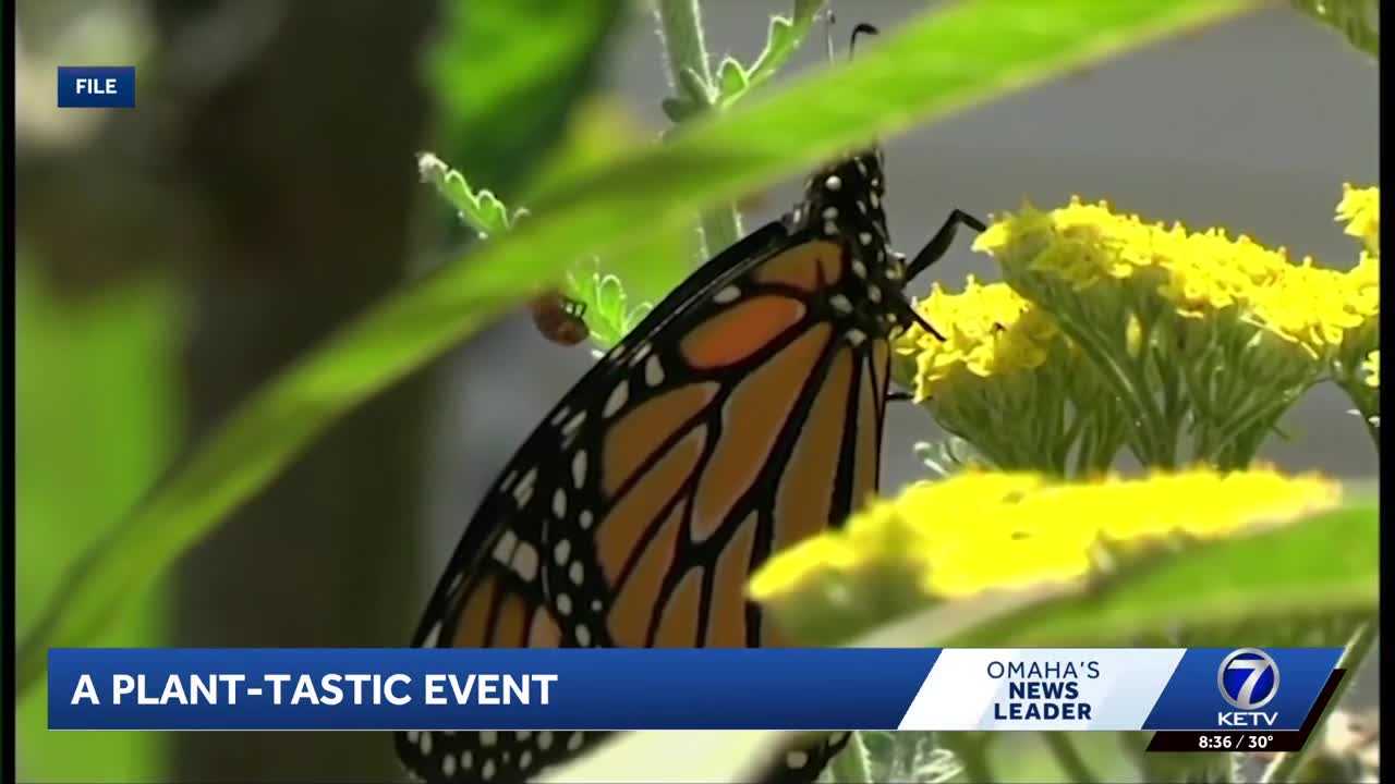 Native Plants 101: A plant-tastic event giving you a head start on spring gardening