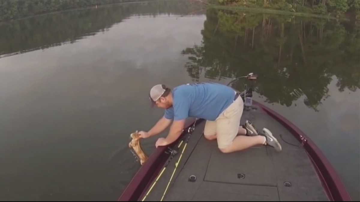 Animal Stories with Dan Green Catfishing in Alabama