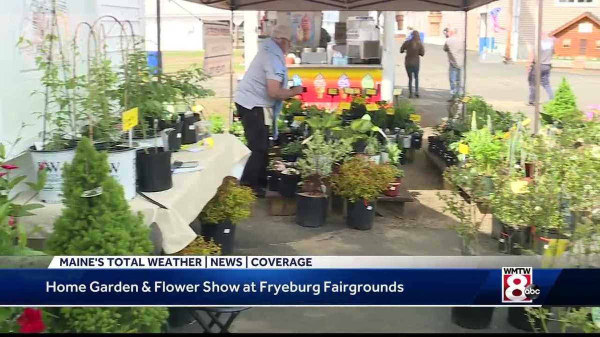 more than one hundred exhibits show off spring flowers in fryeburg