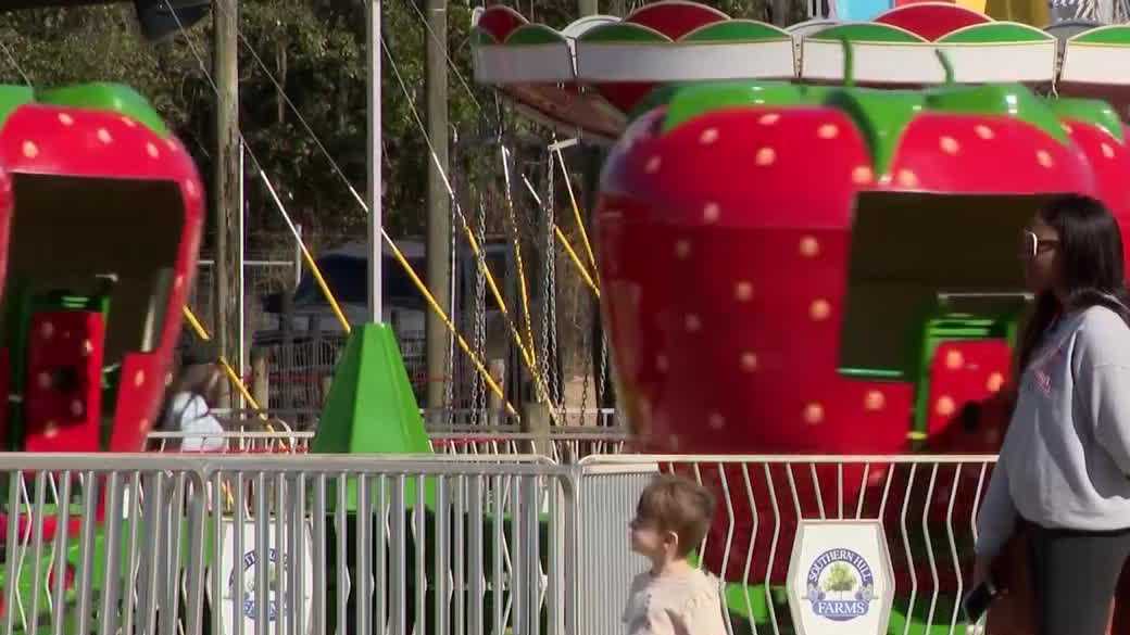 Community rallies behind Southern Hill Farms after devastating freeze