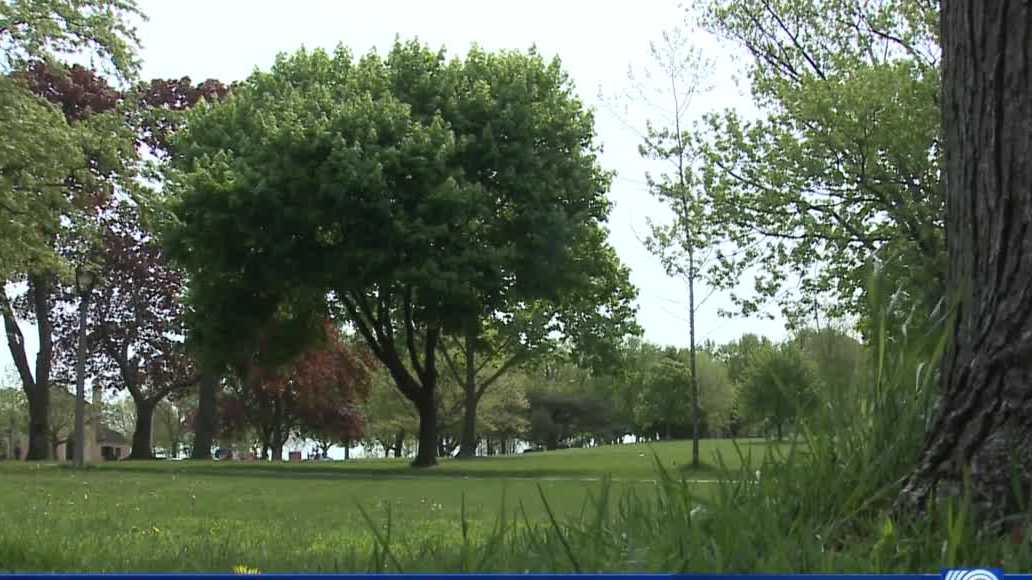 Protecting Urban Forests In Milwaukee