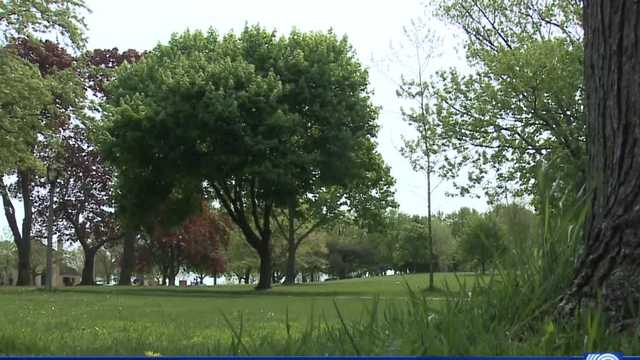 Protecting urban forests in Milwaukee - Vimarsana News