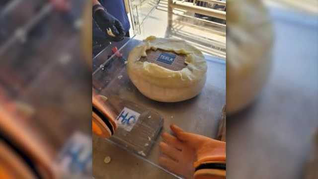 Customs officials seize cheese wheels filled with cocaine - Vimarsana News