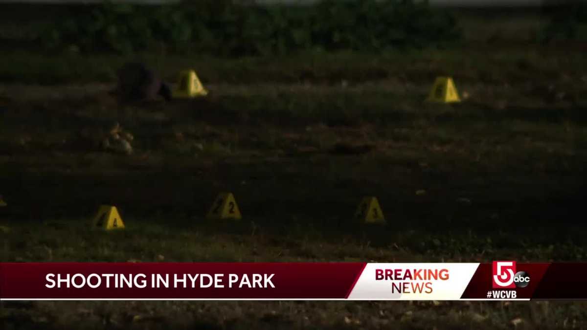 Hyde Park shooting under investigation