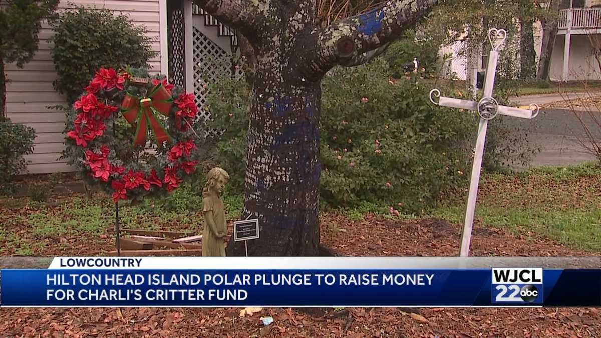 Hilton Head Polar Plunge to benefit Charli Bobinchuck's nonprofit