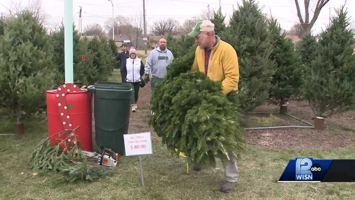 How inflation could affect the price of your Christmas tree