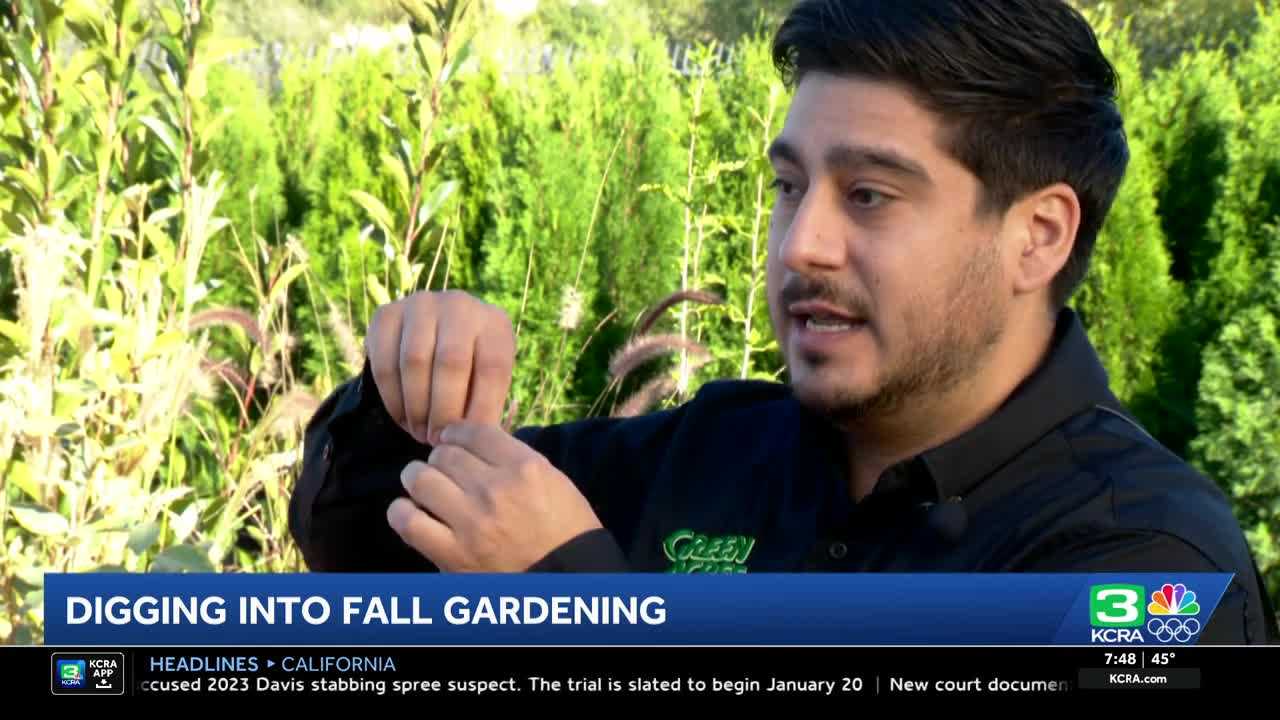 Best plants for the fall and when Northern California could see its first freeze of the season