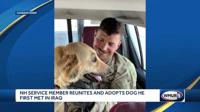 NH service member reunites and adopts dog met in Iraq - Vimarsana News