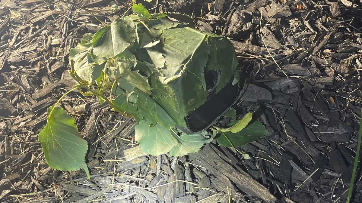 3 people facing charges after hidden camera found in Braintree