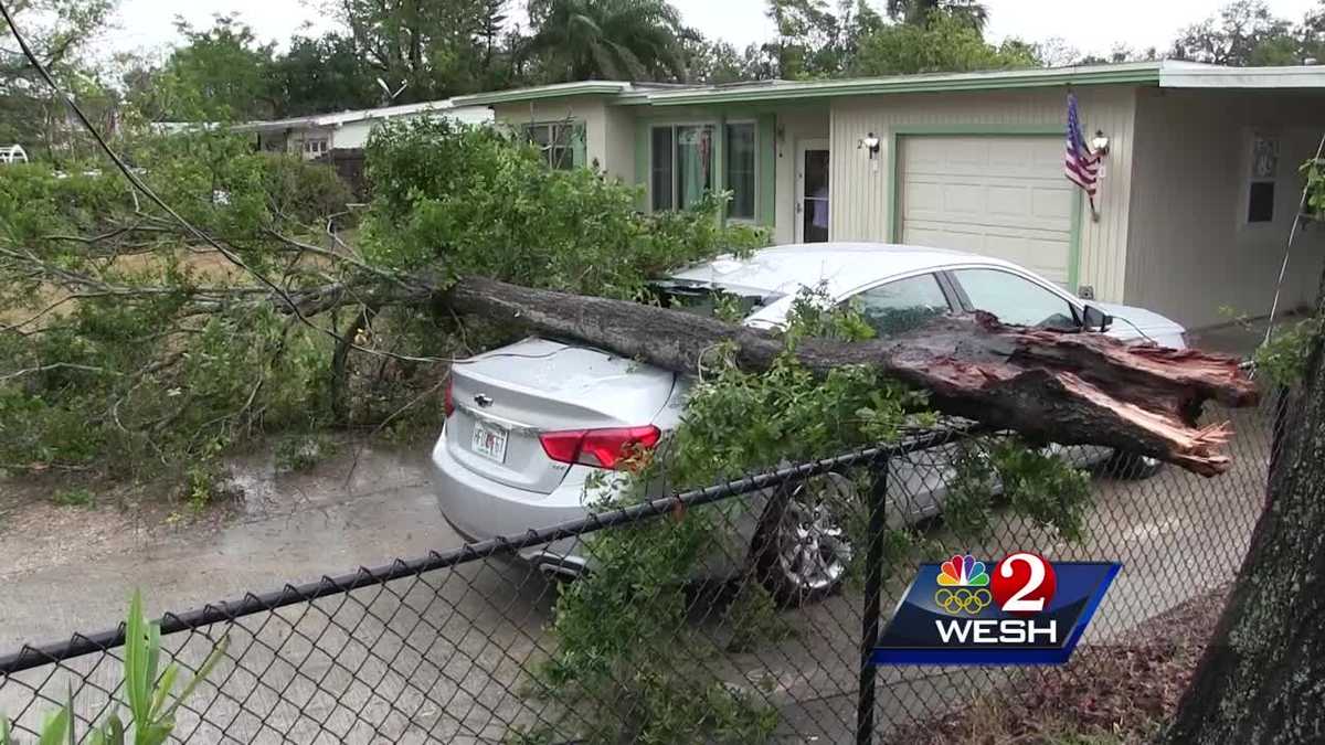 Tree falls on woman's car in Rockledge