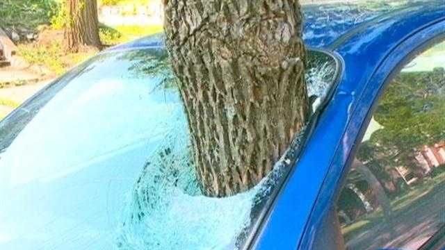 Tree branch impales car in storm
