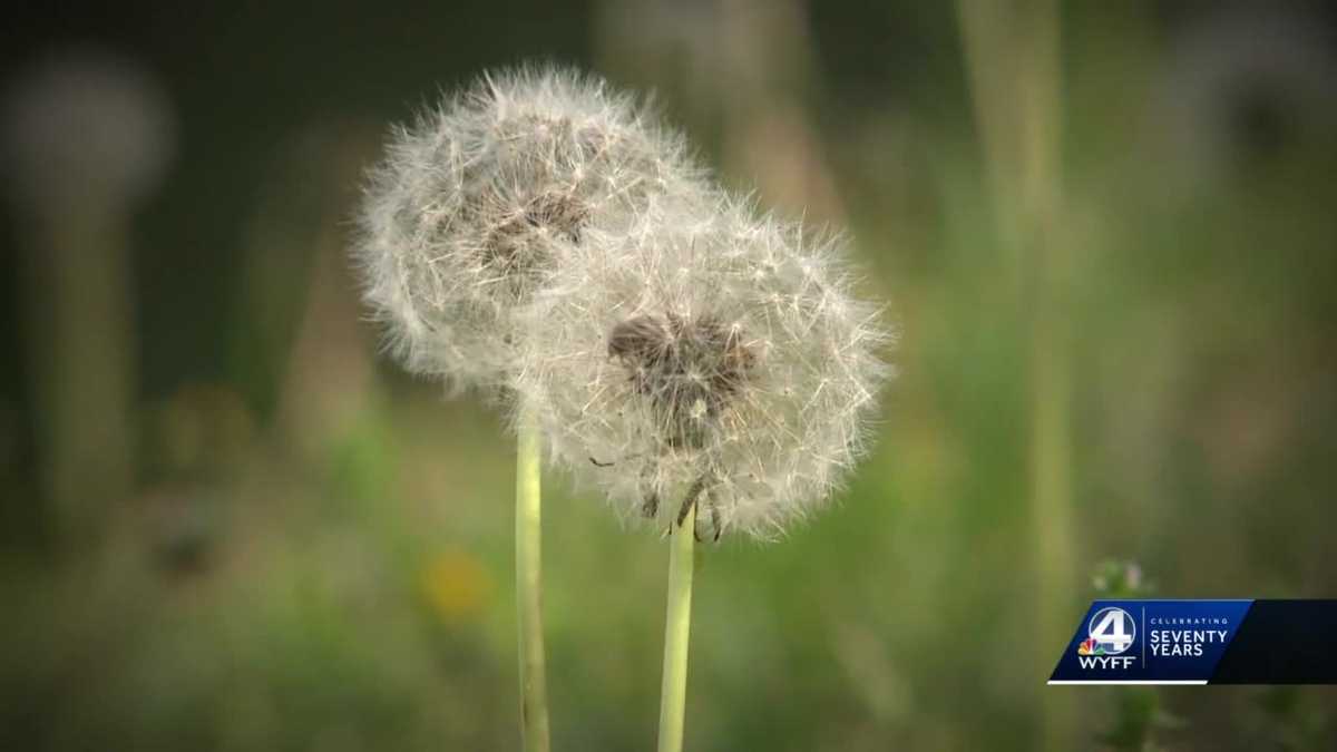 Doctor considers the season when allergies worsen