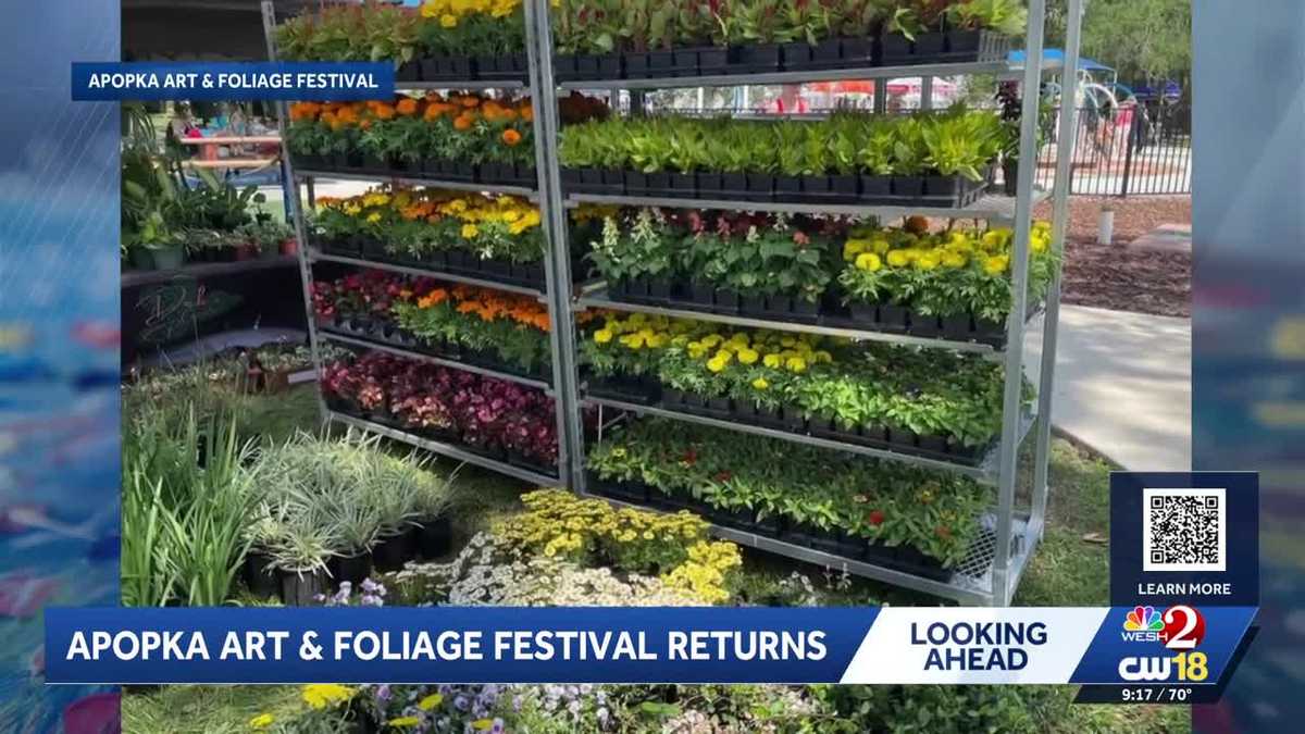 Apopka Art and Foliage Festival returns to Kit Land Nelson Park