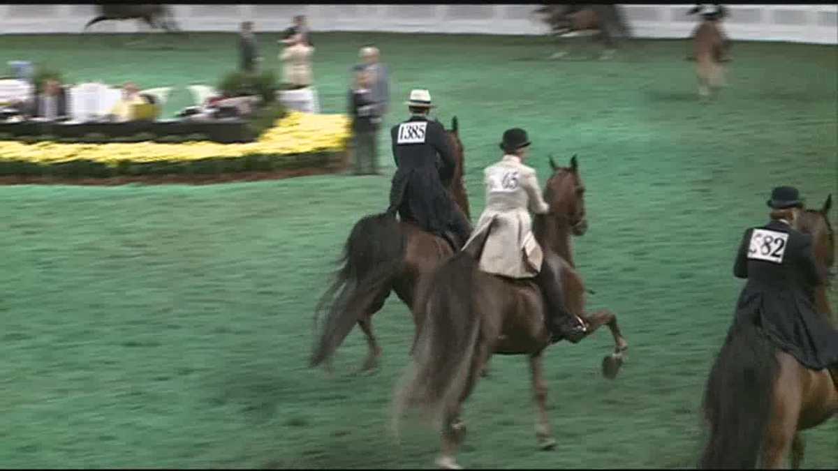 World Championship Horse Show in full swing at Kentucky State Fair