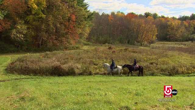 Touring Nicole's hometown of Grafton, Massachusetts - Vimarsana News