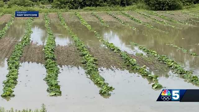 Farmers hit by weather disasters to get help from new fundraiser - Vimarsana News