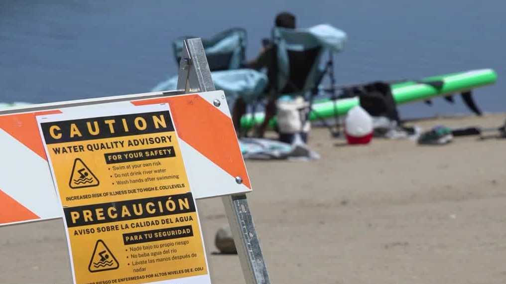 Elevated E. coli levels detected at Folsom Lake State Recreation swimming areas