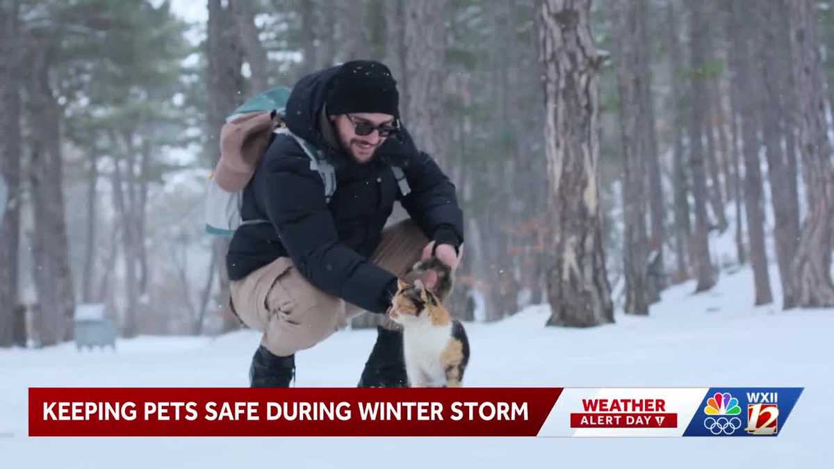 North Carolina winter weather tips for pet owners