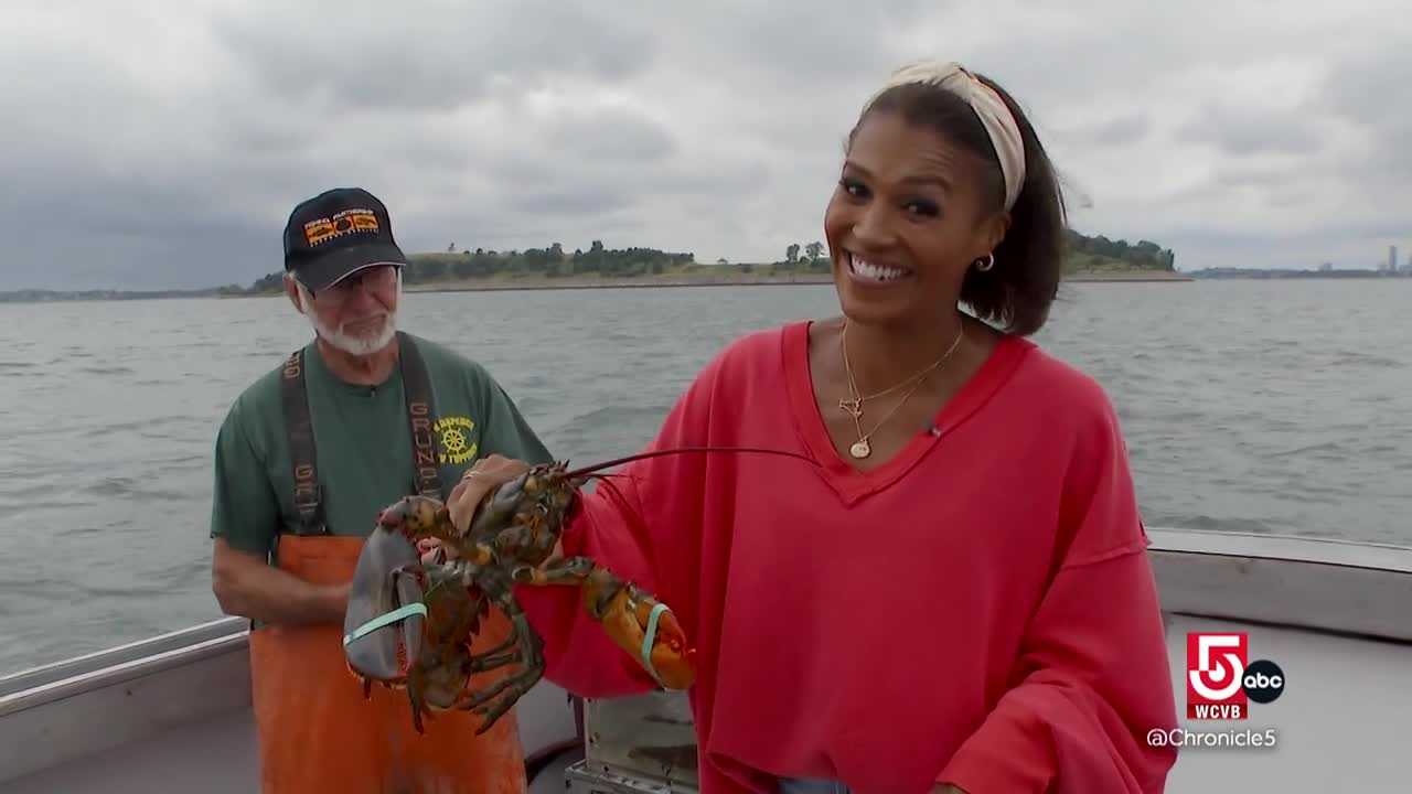 wcvb.com - Shayna Seymour - The Lenox Hotel's new lobster experience lets guests catch their own dinner