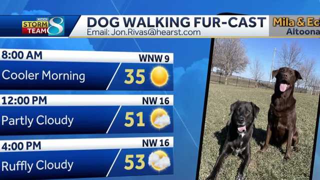 Des Moines weather forecast: Warm weekend ahead - Vimarsana News