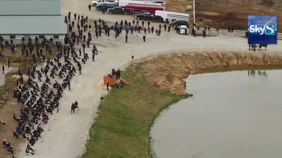 Hundreds attend horse auction despite calls to cancel