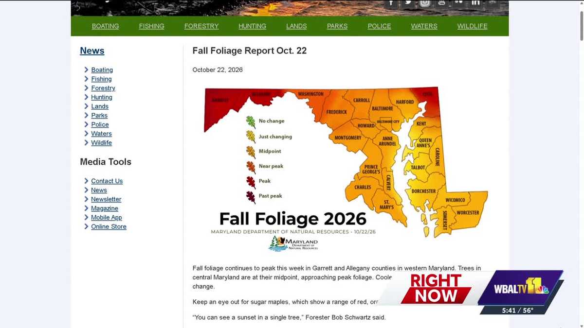 Baltimore County welcomes leaf peepers for fall foliage