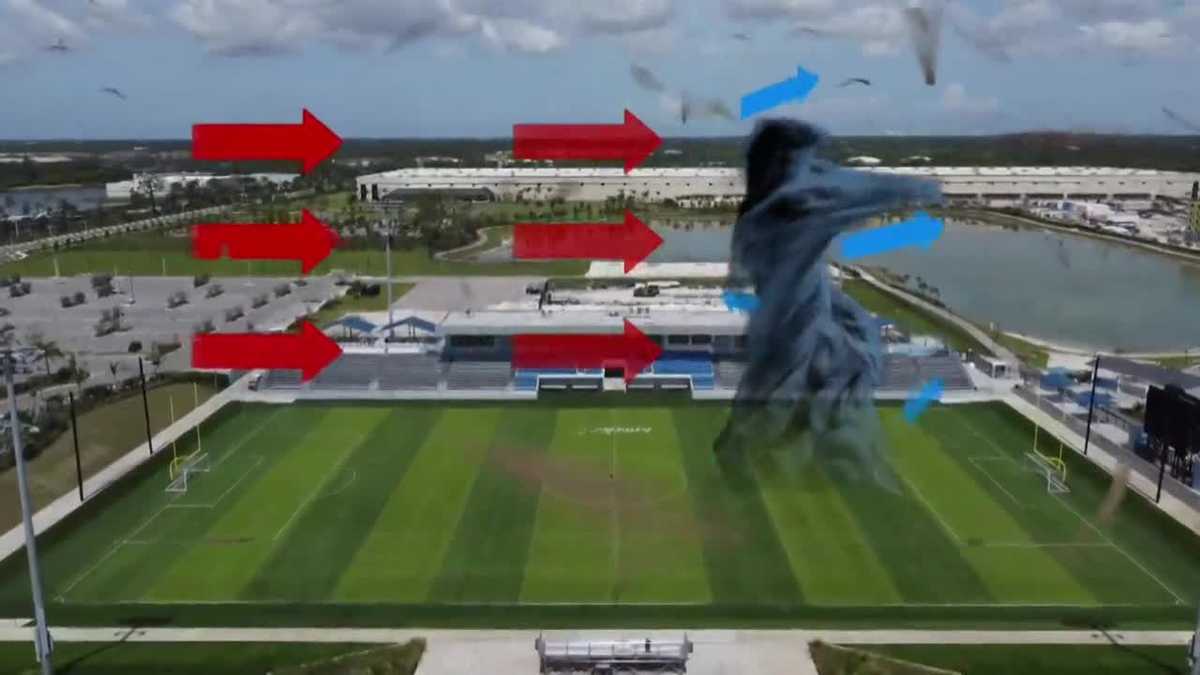 Different defenses against hurricanes