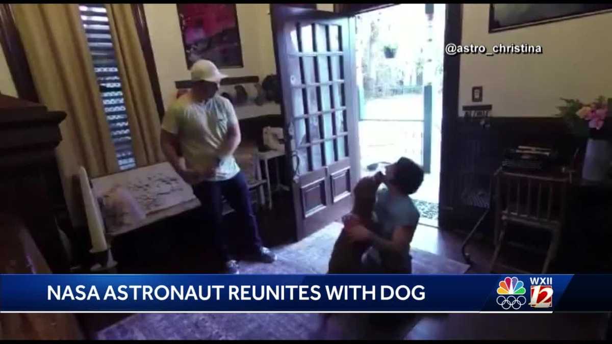 WATCH: NASA astronaut reunites with dog after 328 days in space -Salem thumbnail