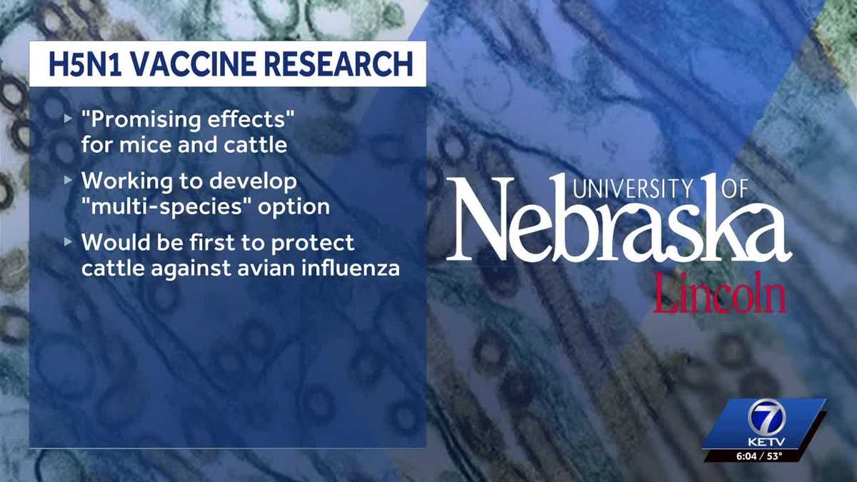 Nebraska researchers working on vaccine against bird flu