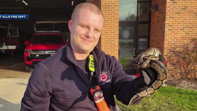 West Allis rookie firefighter rescues snake lost inside a man's car - Vimarsana News