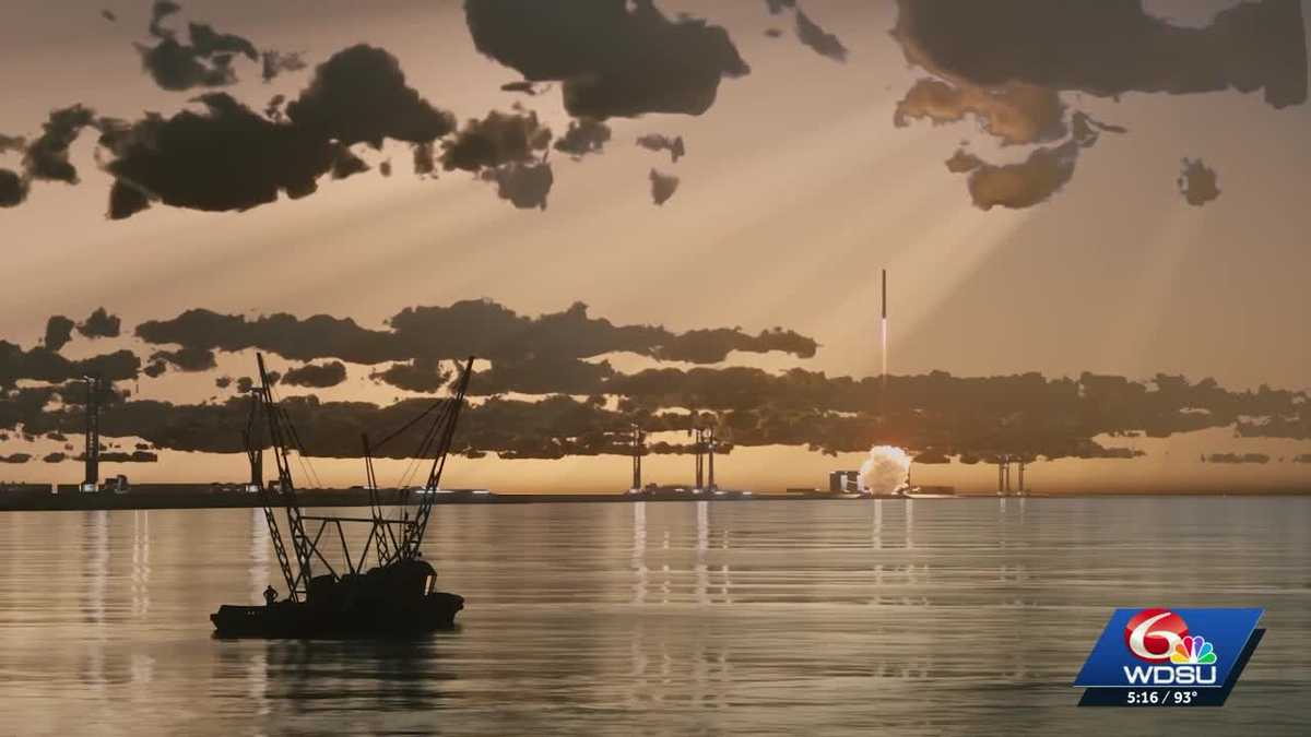SpaceX's $100 billion Louisiana Spaceport raises environmental and community concerns